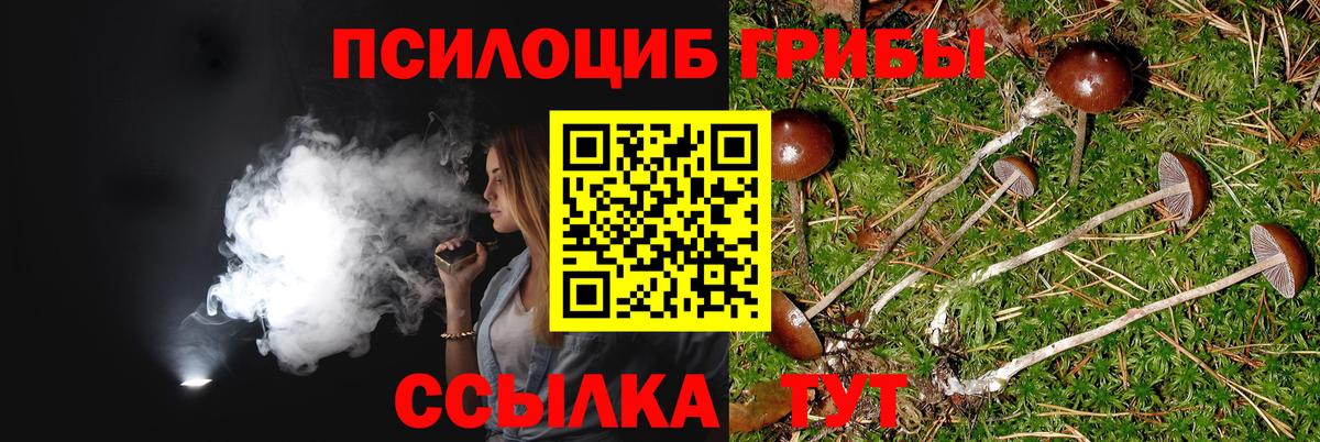 Новочеркасск  Галлюциногенные грибы MAGIC MUSHROOMS  Вход с VPN  Галлюциногенные грибы Magic Shrooms 